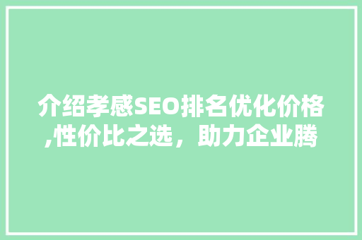 介绍孝感SEO排名优化价格,性价比之选，助力企业腾飞