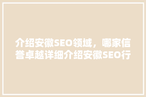 介绍安徽SEO领域，哪家信誉卓越详细介绍安徽SEO行业佼佼者