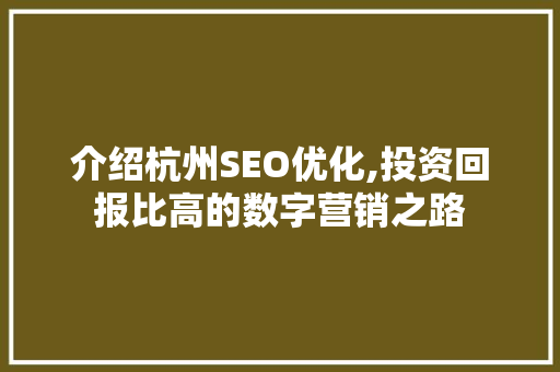 介绍杭州SEO优化,投资回报比高的数字营销之路