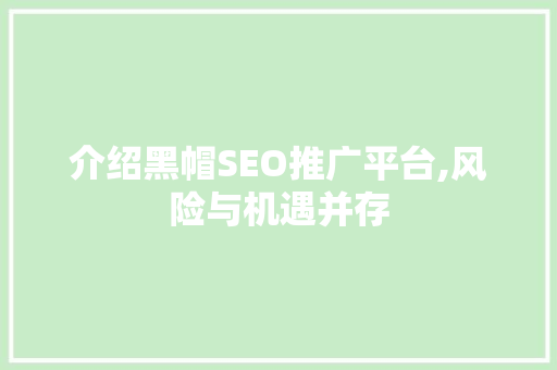 介绍黑帽SEO推广平台,风险与机遇并存