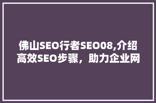 佛山SEO行者SEO08,介绍高效SEO步骤，助力企业网络营销腾飞