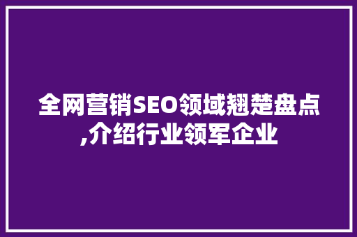 全网营销SEO领域翘楚盘点,介绍行业领军企业