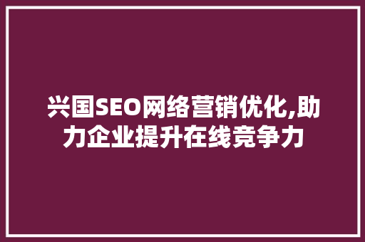 兴国SEO网络营销优化,助力企业提升在线竞争力