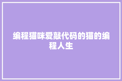 编程猫咪爱敲代码的猫的编程人生