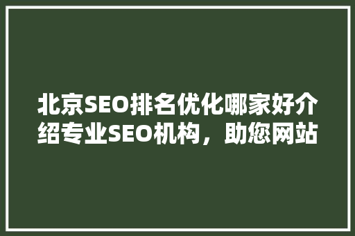 北京SEO排名优化哪家好介绍专业SEO机构，助您网站一飞冲天！