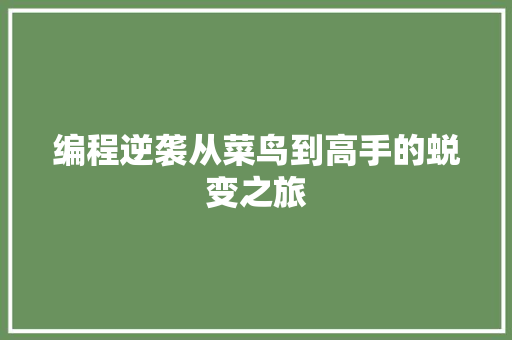编程逆袭从菜鸟到高手的蜕变之旅