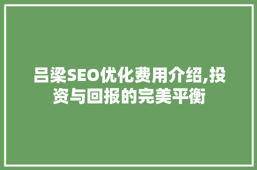 吕梁SEO优化费用介绍,投资与回报的完美平衡
