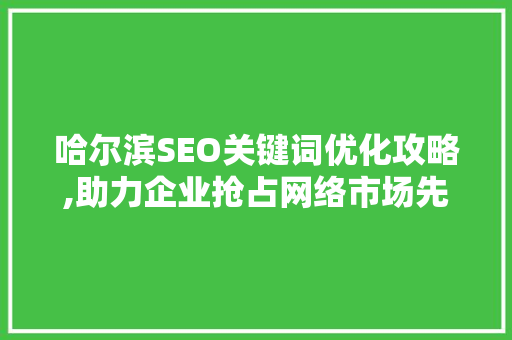哈尔滨SEO关键词优化攻略,助力企业抢占网络市场先机