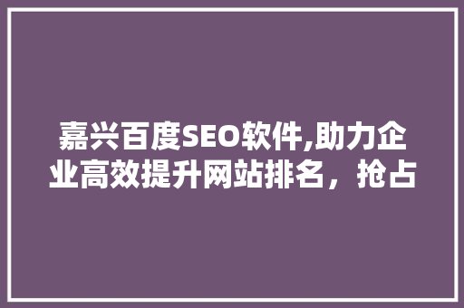 嘉兴百度SEO软件,助力企业高效提升网站排名，抢占市场先机