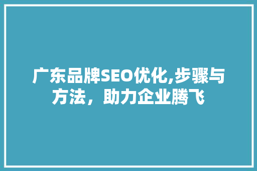 广东品牌SEO优化,步骤与方法，助力企业腾飞