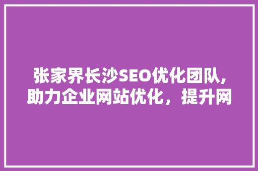 张家界长沙SEO优化团队,助力企业网站优化，提升网络竞争力