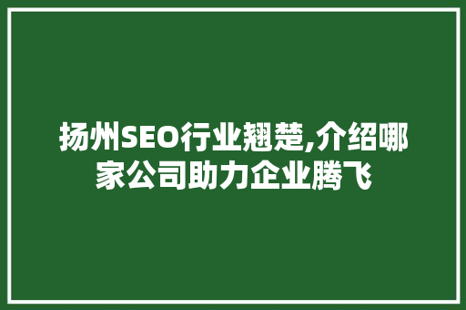 扬州SEO行业翘楚,介绍哪家公司助力企业腾飞