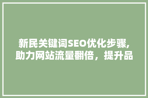 新民关键词SEO优化步骤,助力网站流量翻倍，提升品牌影响力