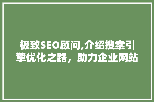 极致SEO顾问,介绍搜索引擎优化之路，助力企业网站流量翻倍