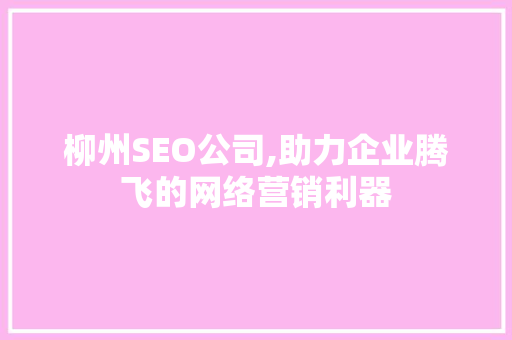 柳州SEO公司,助力企业腾飞的网络营销利器