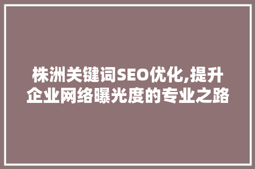株洲关键词SEO优化,提升企业网络曝光度的专业之路