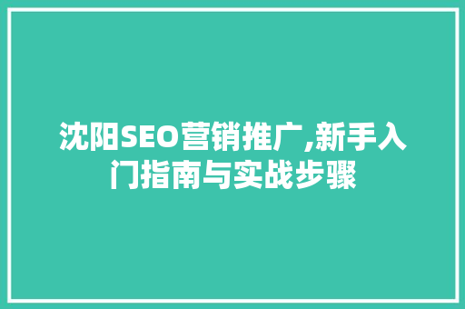 沈阳SEO营销推广,新手入门指南与实战步骤