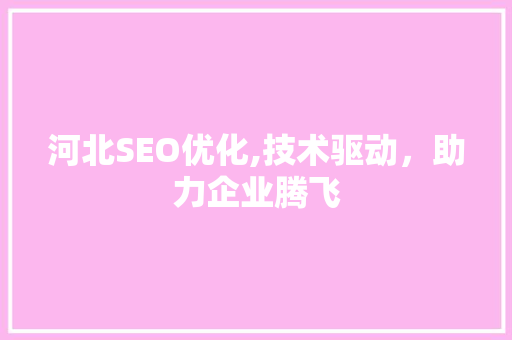 河北SEO优化,技术驱动，助力企业腾飞
