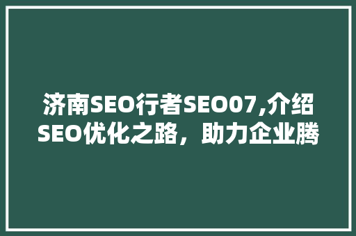 济南SEO行者SEO07,介绍SEO优化之路，助力企业腾飞