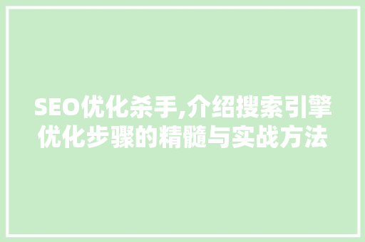 SEO优化杀手,介绍搜索引擎优化步骤的精髓与实战方法