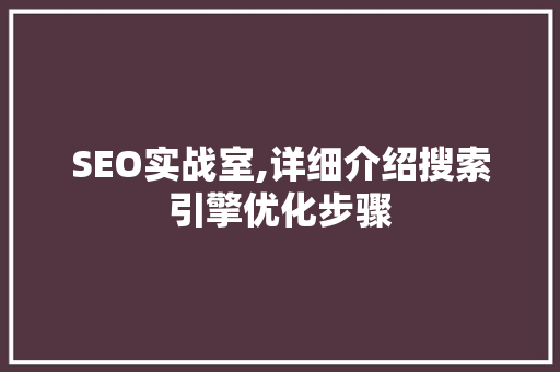 SEO实战室,详细介绍搜索引擎优化步骤