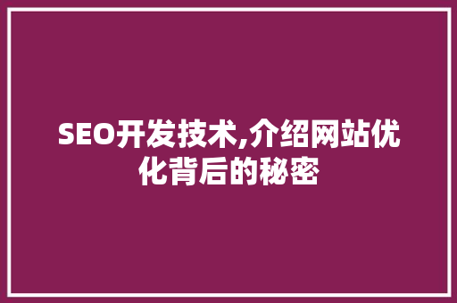 SEO开发技术,介绍网站优化背后的秘密