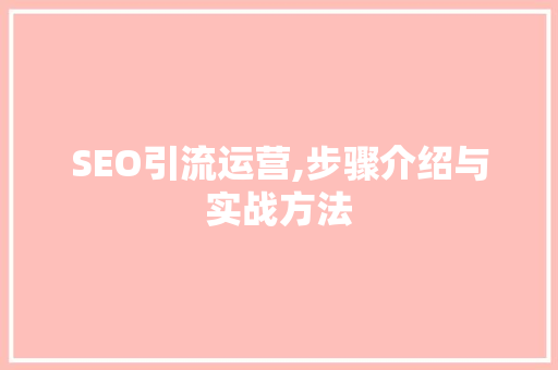 SEO引流运营,步骤介绍与实战方法