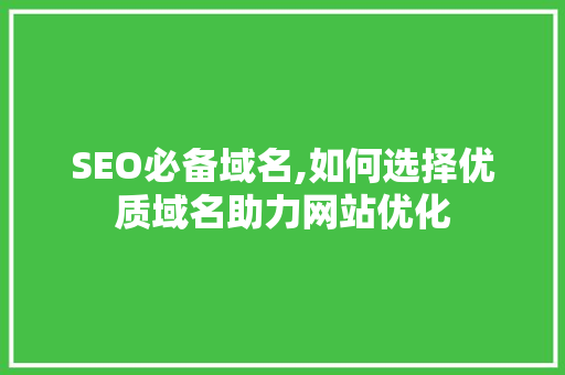 SEO必备域名,如何选择优质域名助力网站优化