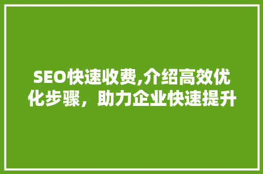 SEO快速收费,介绍高效优化步骤，助力企业快速提升网站排名