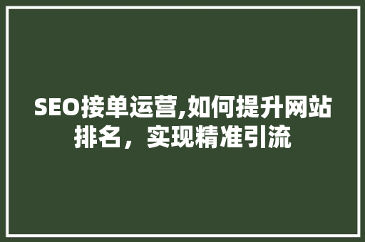 SEO接单运营,如何提升网站排名，实现精准引流  第1张
