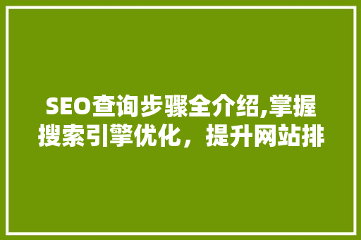 SEO查询步骤全介绍,掌握搜索引擎优化，提升网站排名
