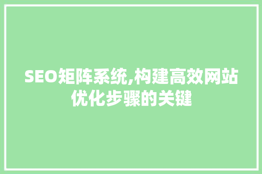 SEO矩阵系统,构建高效网站优化步骤的关键