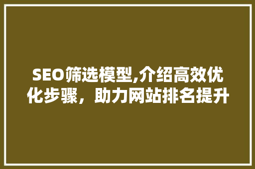 SEO筛选模型,介绍高效优化步骤，助力网站排名提升