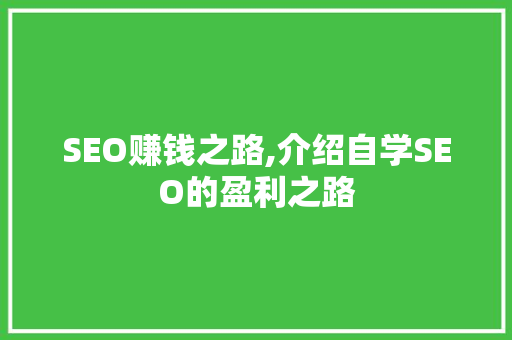 SEO赚钱之路,介绍自学SEO的盈利之路