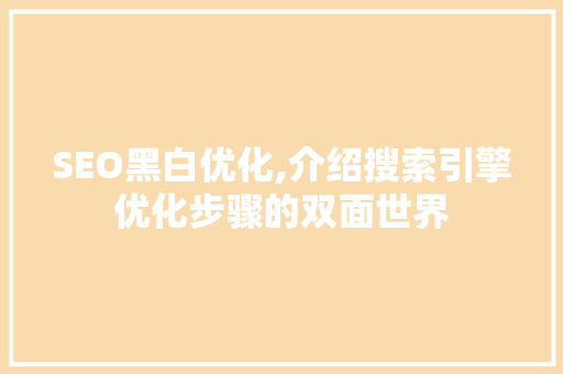 SEO黑白优化,介绍搜索引擎优化步骤的双面世界