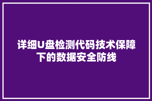 详细U盘检测代码技术保障下的数据安全防线