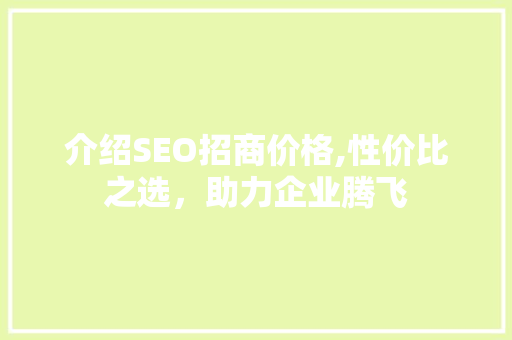 介绍SEO招商价格,性价比之选，助力企业腾飞