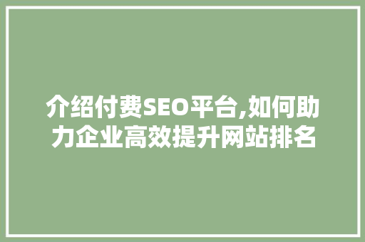 介绍付费SEO平台,如何助力企业高效提升网站排名