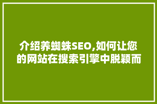 介绍养蜘蛛SEO,如何让您的网站在搜索引擎中脱颖而出