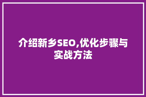 介绍新乡SEO,优化步骤与实战方法
