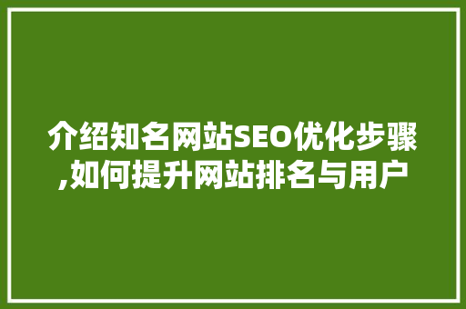 介绍知名网站SEO优化步骤,如何提升网站排名与用户体验