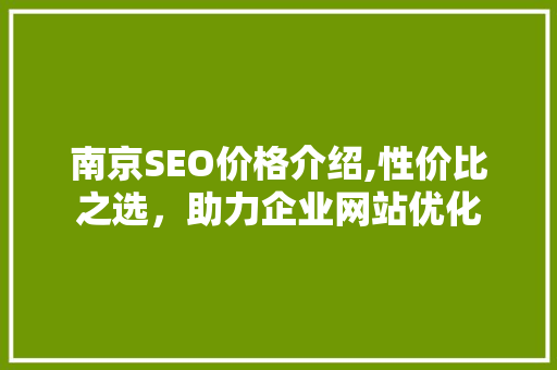 南京SEO价格介绍,性价比之选，助力企业网站优化