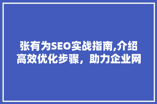 张有为SEO实战指南,介绍高效优化步骤，助力企业网站脱颖而出