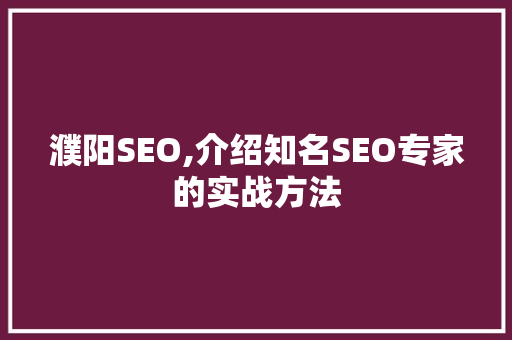 濮阳SEO,介绍知名SEO专家的实战方法