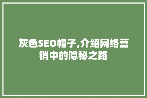 灰色SEO帽子,介绍网络营销中的隐秘之路