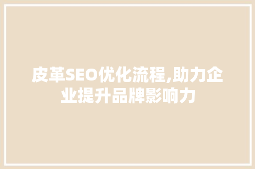 皮革SEO优化流程,助力企业提升品牌影响力  第1张