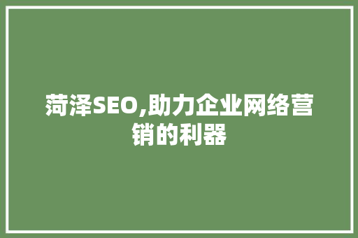 菏泽SEO,助力企业网络营销的利器