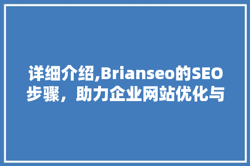 详细介绍,Brianseo的SEO步骤，助力企业网站优化与排名提升