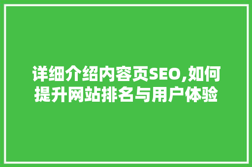 详细介绍内容页SEO,如何提升网站排名与用户体验
