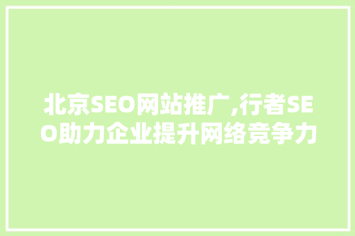 北京SEO网站推广,行者SEO助力企业提升网络竞争力